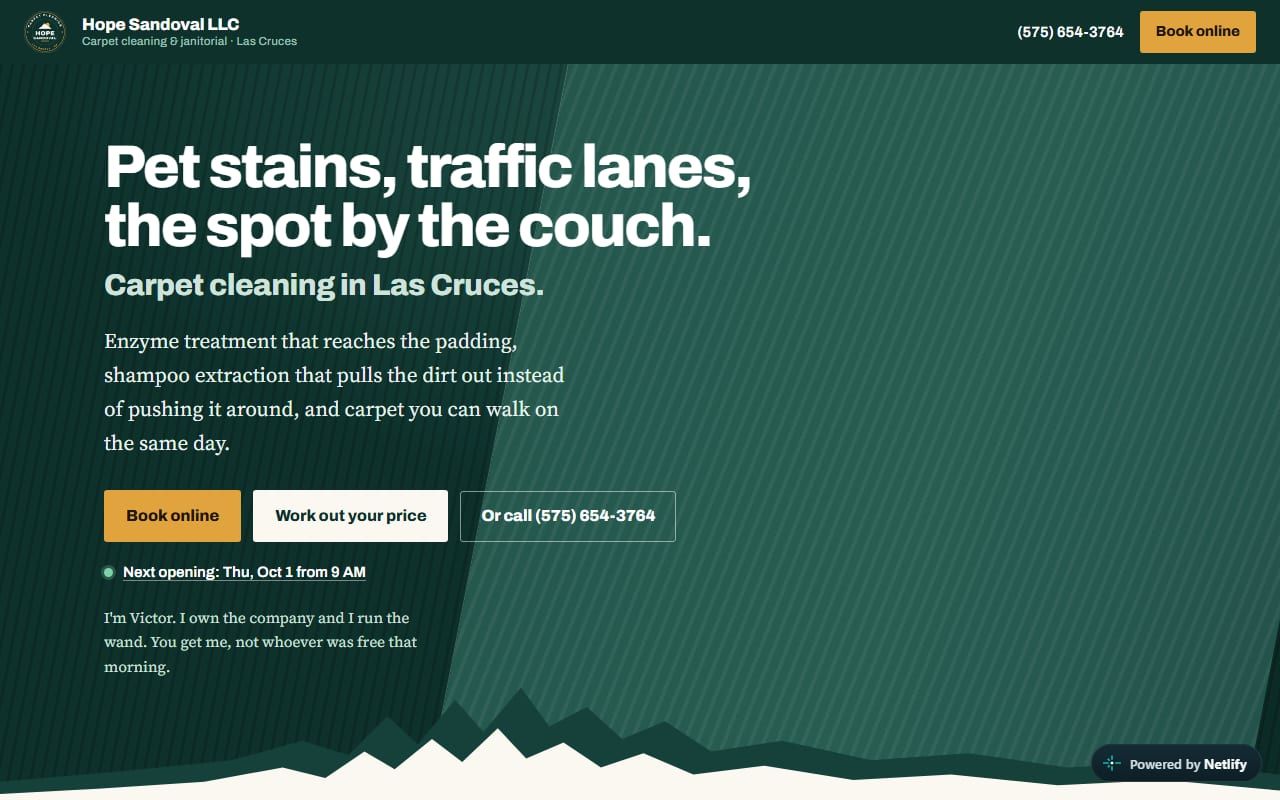 The home page of the Hope Sandoval LLC carpet cleaning website, with a green and gold top, the headline 'Pet stains, traffic lanes, the spot by the couch.' and buttons to book online or work out a price.